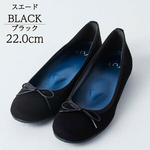 C Dw TCY pvX oGV[Y ՃPAV[Yyui C 21.0~22.0cm ubN  ɂȂ Gi XG[h C\[ R L }^jeB ؂ [q[ q[ t