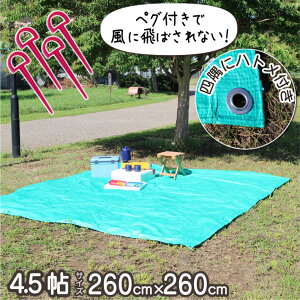 W[V[g 傫 唻 260 × 260 cm 5~8l yOt l Ԍ Ԍ Cxg J悯  Jo[ yOt sNjbNV[g  ^ AEghA  n O[ Lv B-45 