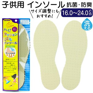 C\[ q 16.0~24.0cm Ռz NbV ~ TCY LbY qǂ ǂ C Xj[J[ R hL t[TCY nCINbVqC\[   V[PA R