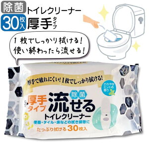 �g�C���V�[�g ������ ���� �g�C�� �g�C���N���[�i�[ 30�� ���� �|�� �� �֊� �� ��|�� �~���g�̍��� �G���{�X �֍��p�N���[�i�[ �|���p�i