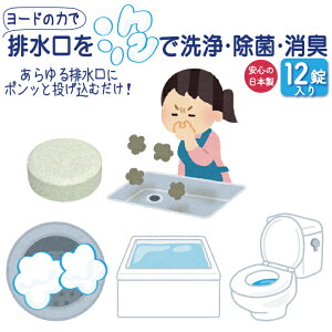 �r���� �k���� �r���a �|�� �܂� ���� ���� �L�� �j�I�C �ʂ߂� ���L �g�C�� ���ʏ� ���C ���{�� �l�R�|�X ���[�h �� �A�� �� �N���[�� 12�� �A ���� �L�b�`�� ���� ���� �r���� ���L ���� �k