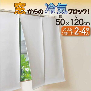  ΍ 50X120cm 2 4 g[ GAR ՔMV[g ՔMJ[e Ռ ߓd ȃGl XN[ GR ՔMXN[ 悭 UVJbg 98 Ռ  98 ՔM 悯 ډB 