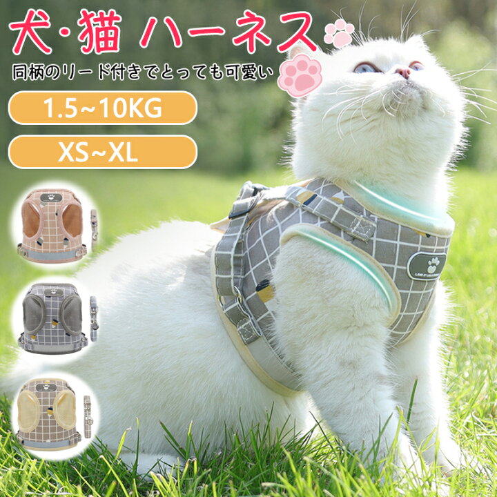 楽天市場】ネコ ハーネスリードセットミニ犬用リード 猫用ハーネス  