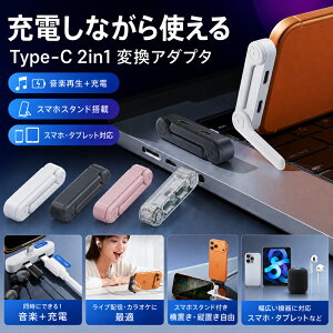 Type-C �ϊ��A�_�v�^ 2in1 �C���z�� �[�d ���� �X�}�z�X�^���h �t�� �X�}�z �^�u���b�g iPad Android �Ή� �c�u�� ���u�� ���y�Đ� �����ʘb �Q�[�� ���掋�� �z�M �R���p�N�g �y�� �A�_�v�^ �ϊ��P