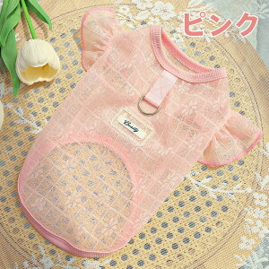 p [Xgbv  ybg ʋCQ {t w[hOt S12TCY(XS~8XL) F/F ^~^Ή ėp U LO D c҂݃[X y