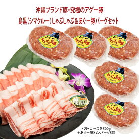 楽天市場 沖縄 アグー豚 500gの通販