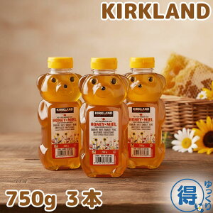  ݂͂ J[Nh xA[WO 750g 3{ I Vbv RXgR y肨ցz