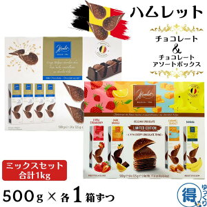  `R[g nbg `R[gt[cA\[g e1 gݍ킹 xM[Y NXs[`R[g 500g t[cA\[g{bNX 500g َq `R 