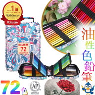 ★6月中エントリーでP5倍★ 色鉛筆 72色 セット ナイロンケース 油性色鉛筆 丸形 ソフト芯 お絵描き 絵画…