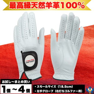 yōVRrvz  St O[u 1 ` 4 J[Nh p EłSt@[p X[TCY v~AJub^U[ s[Xdl ꖇv\ _炩 O