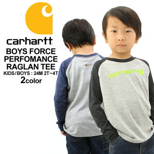 [LbY] J[n[g TVc  O USAf {[CYuh CarharttbT TVc OTVcbq q j̎q ̎q AJW  傫TCY T