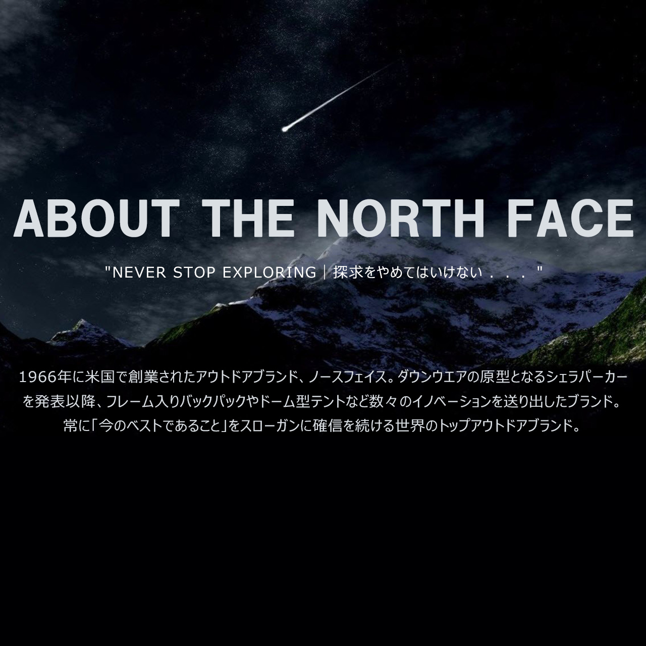 【楽天市場】【送料無料】 THE NORTH FACE ノースフェイス