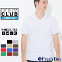 PRO CLUB プロクラブ vネック tシャツ メンズ 半袖 ブランド 無地 5.9オンス コンフォート 半袖tシャツ 大きいサイズ USAモデル 【メール便可】