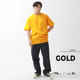 【送料無料】 PRO CLUB プロクラブ Tシャツ メンズ 半袖 大きいサイズ 無地 ゆったり 大きめ オーバーサイズ ビッグ 5.8オンス コンフォート ブランド アメカジ カジュアル ストリート シンプル クルーネック 102 USAモデル 【メール便可】