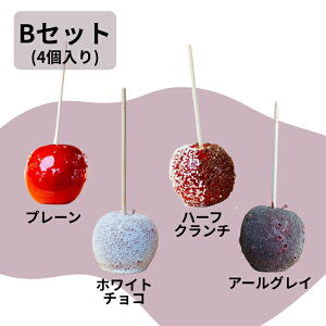 Freshcandy 񂲈 YSgp 4Zbg ① t[c@Mtg ̓ 200g×4{