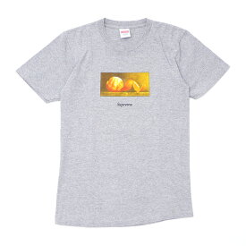 100％本物保証 シュプリーム Supreme 15FW Peel Tee Tシャツ GRAY グレー 灰 メンズ Sサイズ 【中古】 2015FW 334000185032 (半袖Tシャツ)