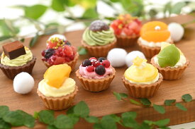 【20％OFFクーポン対象】【送料無料】みにたると9種9個セット 厳選 即日発送 かわいい タルト ケーキ 贈り物 喜ばれる お返し ミニサイズ 一口サイズ パーティ プチケーキ シェア 洋菓子 おいしい 冷凍 ケーキセット のし対応 果物 プチタルト 御中元 夏ギフト 暑中見舞い