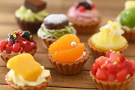 みにたると9種9個セット 厳選 即日発送 送料別 かわいい タルト ケーキ 贈り物 喜ばれる 内祝 お返し ミ…