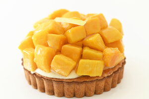 S}S[^g 5 t[c  a LO P[L ^g Ղ  Ƒ ΂  TvCY p[eB yY XC[c o[Xf[ R `Rv[g m