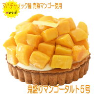 鬼盛りマンゴータルト 5号 フルーツ 送料別 誕生日 記念日 ケーキ タルト たっぷり 満足 家族 喜ばれる …