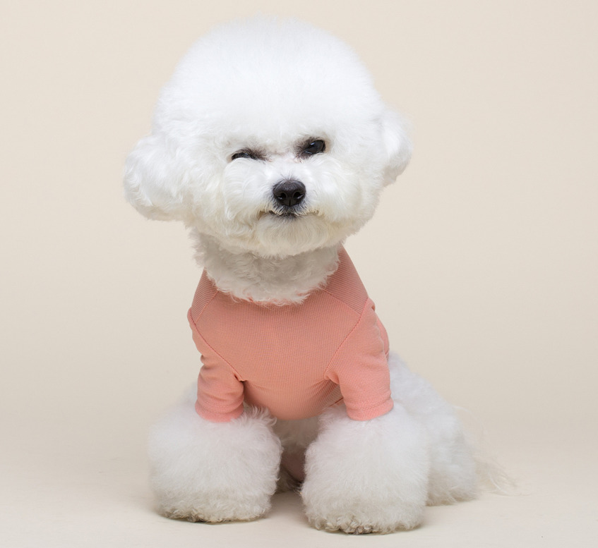 犬の服 デイリーウェア 新品 ピンク 2021年夏モデル 驚きの価格が実現