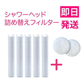 シャワーヘッド錆び取り詰め替えセット