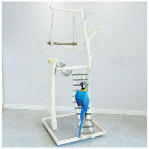 ~܂^IEX^h }o[hX^h uo[hg[jOX^h ۑo[hX^h 150cm f C (t, )