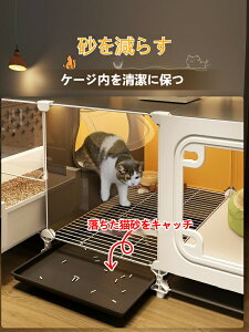 LpP[WExbhEgČ^̎pLnEXA^LrlbgAL̕ʑA11rO1gCt