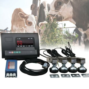 dqƒ{XP[LbgAArA؁AMAnp̍xtAXP[LbgALCDobNCgfBXvCdʃCWP[^[6600|h