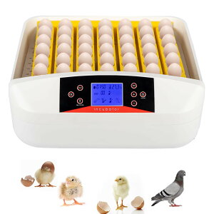 孵化卵用孵卵器、LEDライト付き56個自動孵卵器、転卵と温度制御、鶏、アヒル用孵卵器