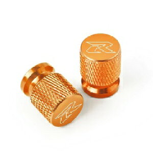 S-06 R IW GSX-R1000/R GSX-R1100 GSX-R750 GSX-R600 GSX-R400 GSX-R250 GSX-R125 GSX-R150 CB1100R CBR1000RR CBR600RR CBR400RR CBR250RR CBR150 CBR125 L[R CB250R CB400R YZF-R1 YZF-R7 YZF-R25 YZF-R125 YZF-R6 YZF-R9 t GA[ouL