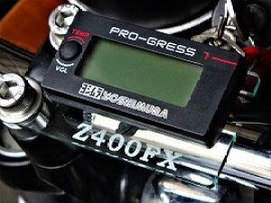 D-3-1 Z400FXp KX AN Vv PRO-GRESS 1 p tXe[