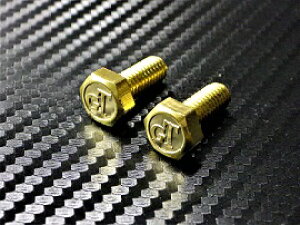 C-10 GT IWi{g ^J M6×15 2{1Zbg io[v[g{g  GT750 GT550 GT500 GT380 GT250 GT125