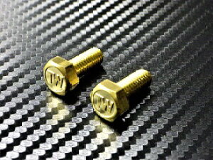 C-15 TW IWi{g ^J M6×15 2{1Zbg io[v[g{g  TW200 TW200E TW225