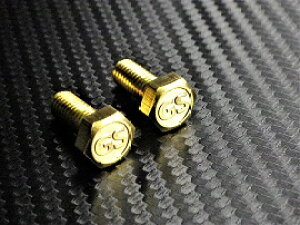 C-17 GS IWi{g ^J M6×15 2{1Zbg io[v[g{g  GS1000 GS750 GS550 GS500 GS400 E S L