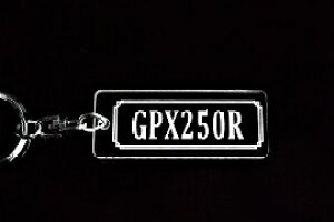 A-732 GPX250R AN NA Vo[2dOIWiL[z_[ JTL }t[ nh O ~[ JX^ p[c ̃ANZT[