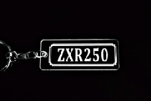 A-788 ZXR250 AN NA Vo[2dOIWiL[z_[ JTL }t[ nh O ~[ JX^ p[c ̃ANZT[