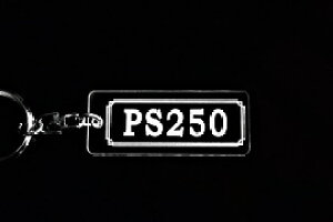 A-881 PS250 AN NA Vo[2dOIWiL[z_[ z_ }t[ nh O ~[ JX^ p[c ̃ANZT[