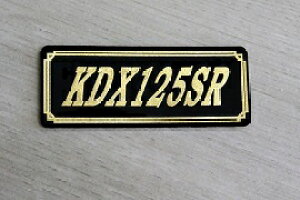 E-66-3 KDX125SR / IWiXebJ[ ^N e[JE O TChJo[ A_[JE rLjJE PbgJE tF_[ XN[  KAWASAKI JTL KDX125SR