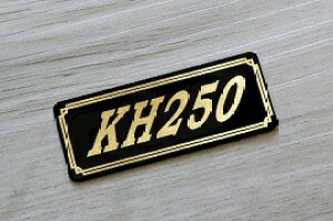 E-76-3 KH250 / IWiXebJ[ ^N e[JE O TChJo[ A_[JE rLjJE PbgJE tF_[ XN[  KAWASAKI JTL KH250