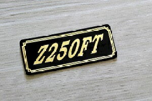 E-88-3 Z250FT / IWiXebJ[ ^N e[JE O TChJo[ A_[JE rLjJE PbgJE tF_[ XN[  KAWASAKI JTL Z250FT