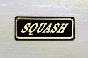 EE-234-3 SQUASH / IWiXebJ[ ^N e[JE O TChJo[ A_[JE rLjJE PbgJE tF_[ XN[ XCOA[ JX^  HONDA z