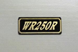 E-540-3 WR250R / IWiXebJ[ ^N e[JE O TChJo[ A_[JE rLjJE PbgJE tF_[ XN[ XCOA[ JX^  YAMAHA 