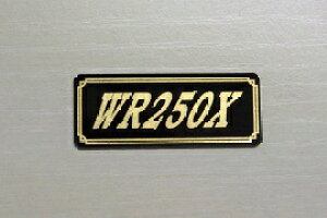 E-541-3 WR250X / IWiXebJ[ ^N e[JE O TChJo[ A_[JE rLjJE PbgJE tF_[ XN[ XCOA[ JX^  YAMAHA 