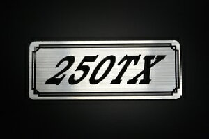 E-49-2 250TX / IWiXebJ[ ^N e[JE O TChJo[ A_[JE rLjJE XCOA[ tF_[ XN[ tF_[X  KAWASAKI JTL 250