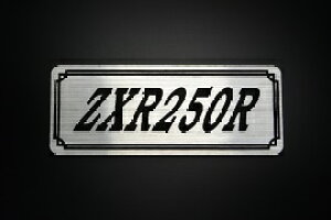 E-107-2 ZXR250R / IWiXebJ[ ^N e[JE O TChJo[ A_[JE rLjJE XCOA[ tF_[ XN[ tF_[X  KAWASAKI JTL 