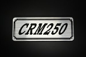 E-300-2 CRM250 / IWiXebJ[ ^N e[JE JX^ O TChJo[ A_[JE rLjJE XCOA[ tF_[ XN[ tF_[X Gu 