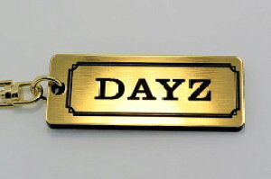 A-420-1 DAYZ AN  2dOIWiL[z_[ fCY [NX B21W b21a O  p[c