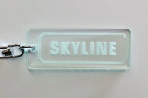 A-429-3 SKYLINE AN KX 2dOIWiL[z_[ Y XJCC gtr R32 R33 R34 R35 dr30 v37 400 Wp O  p[c