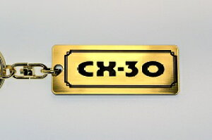 A-624-1 CX-30 AN  2dOIWiL[z_[ }c_ O  JX^ p[c